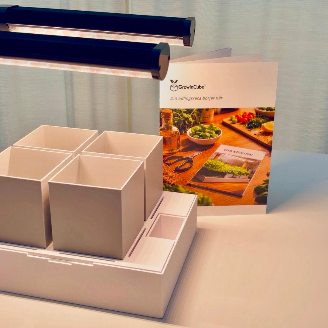 Odlingskit för basilika (året runt)