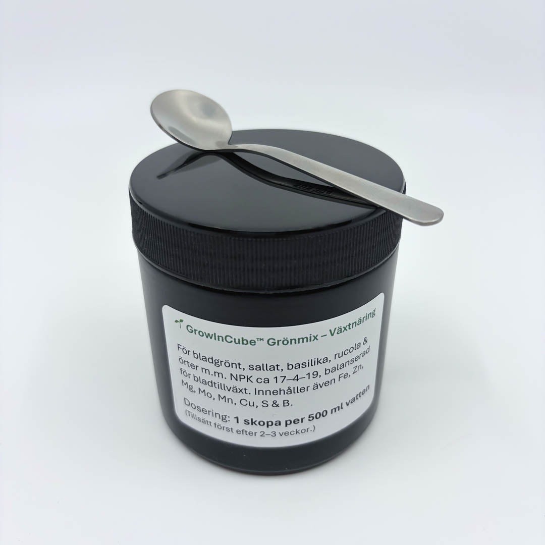 Odlingskit för basilika (året runt)