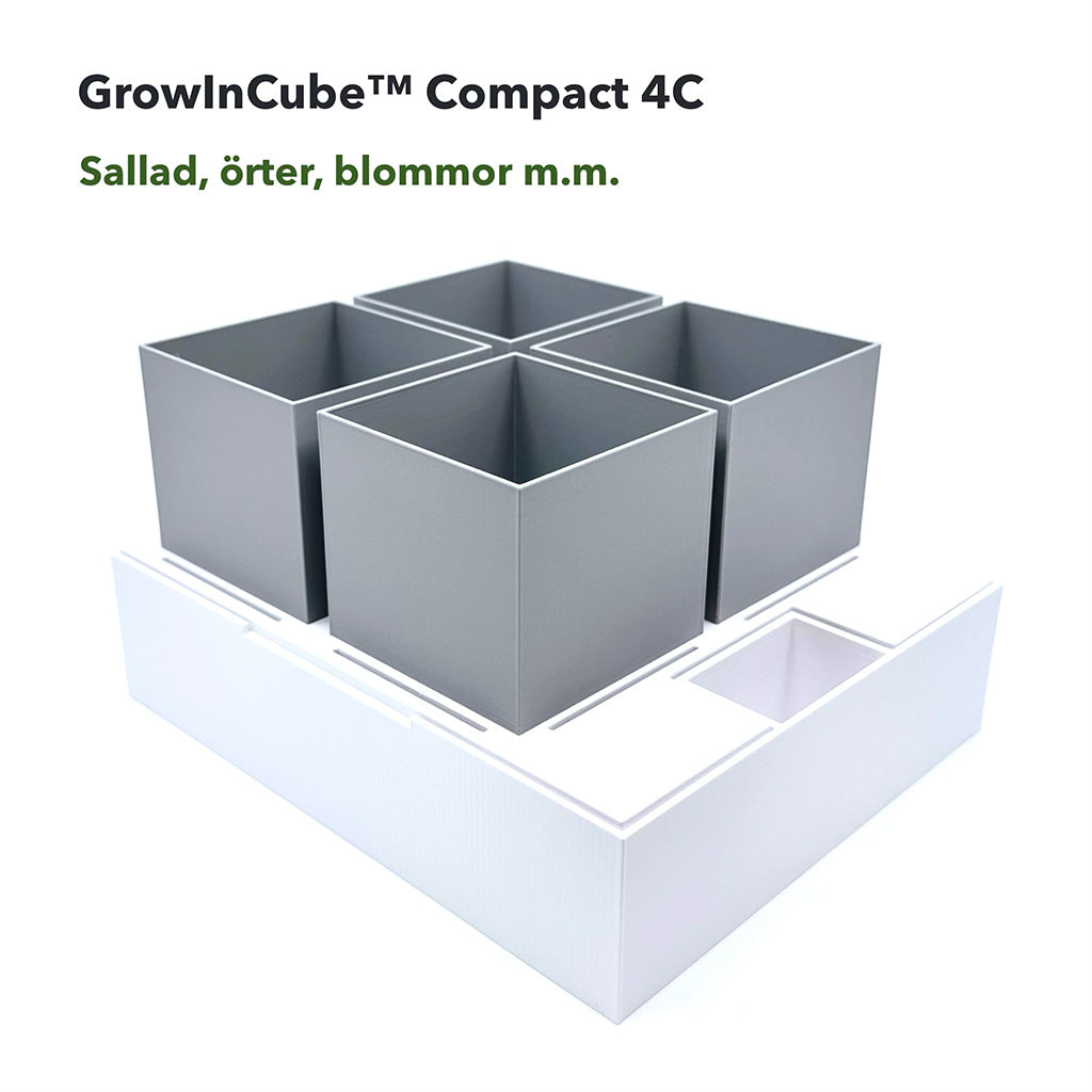 Odlingskit för basilika (året runt)