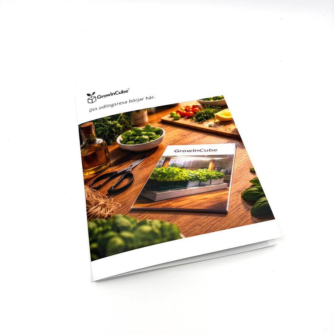 Odlingskit för basilika (året runt)