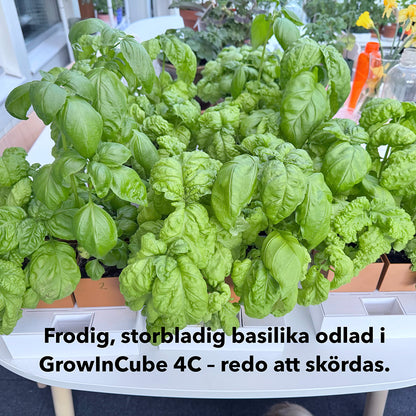 GrowInCube™ Compact 4C – Odling