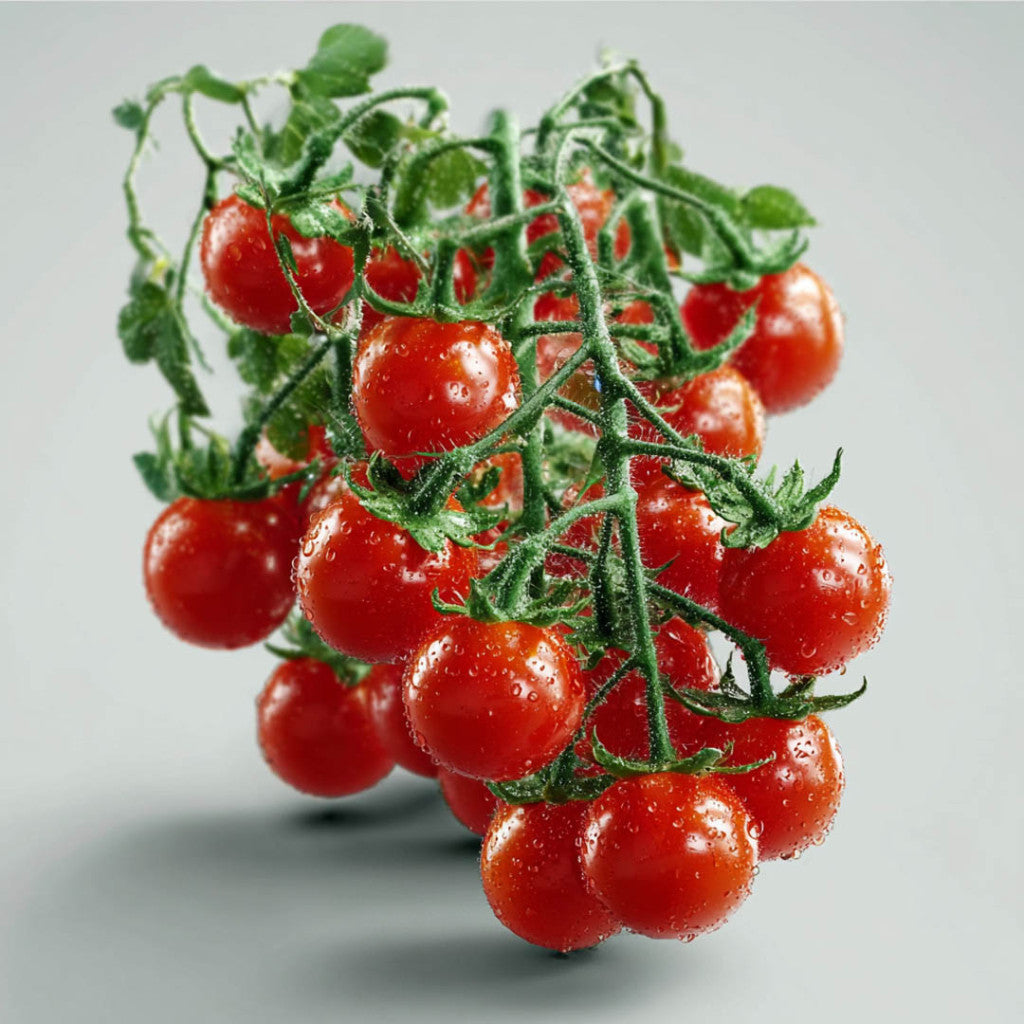 Odlingslåda för frösådd av chili, tomat m.m. (vår)
